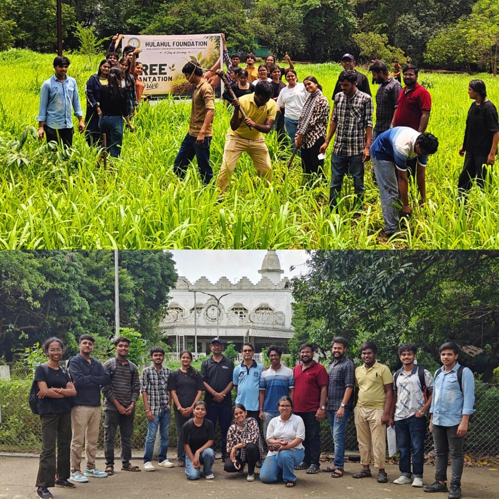 TREE PLATATION DRIVE HULAHUL 2026