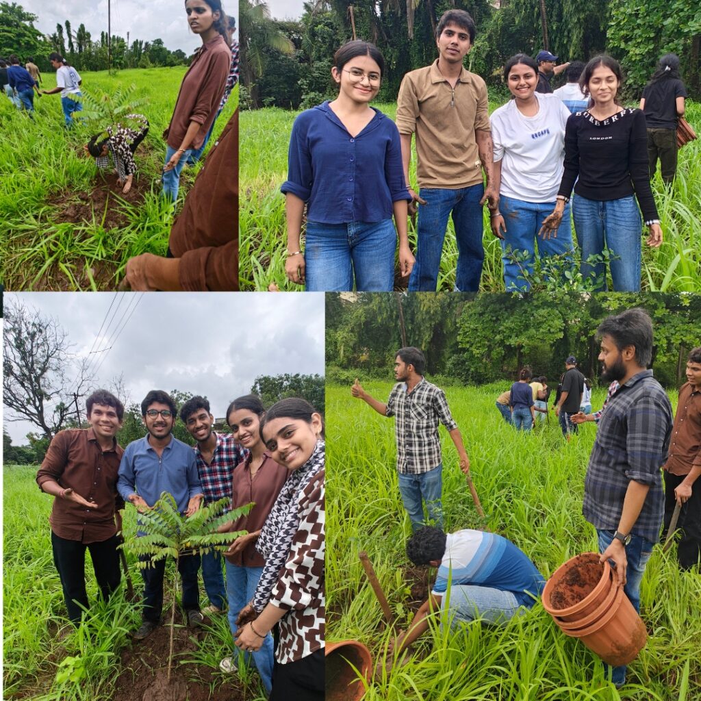 TREE PLATATION DRIVE HULAHUL 2026